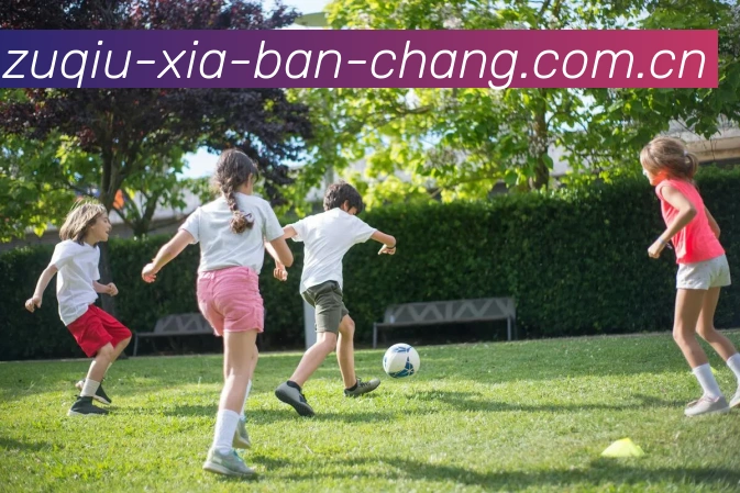 足球下半场投注APP 封面图